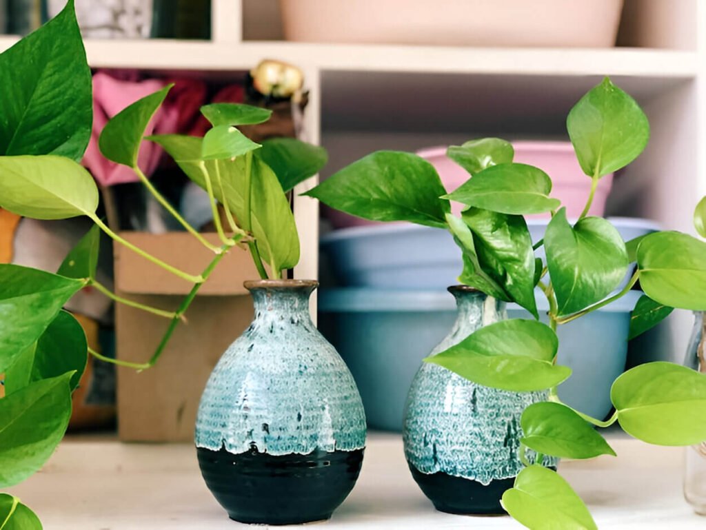 Eco-friendly home renovations