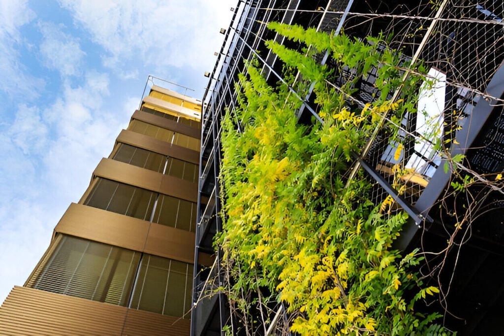 Green buildings in a sustainable city